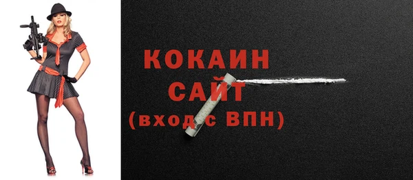 индика Богданович