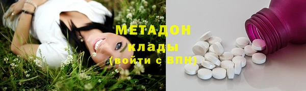 индика Богданович