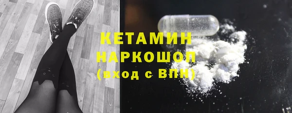 индика Богданович