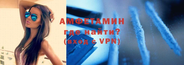 индика Богданович