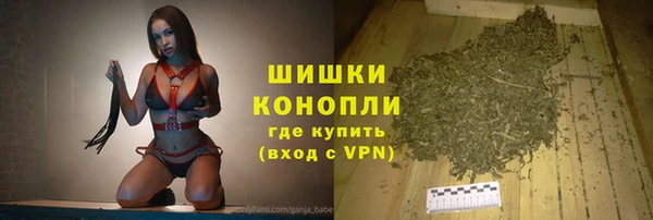 тгк Богородицк