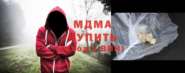 индика Богданович