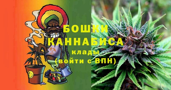 тгк Богородицк