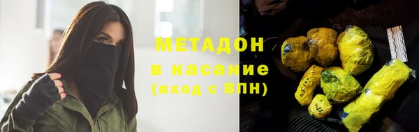 индика Богданович