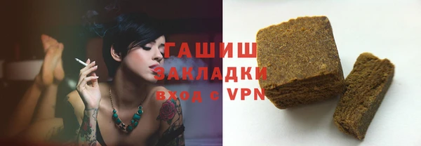 индика Богданович