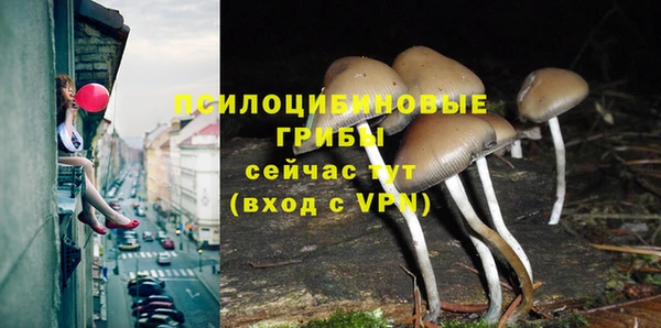 тгк Богородицк