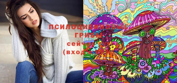 тгк Богородицк