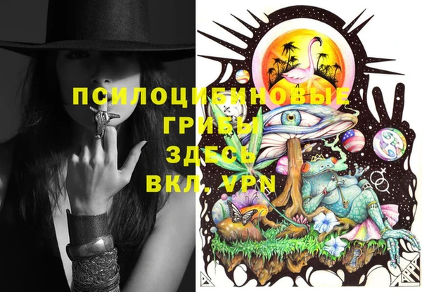 тгк Богородицк
