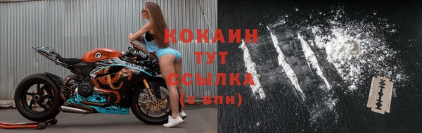 тгк Богородицк