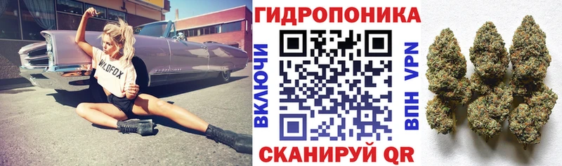 магазин продажи наркотиков  Яхрома  Бошки Шишки план 